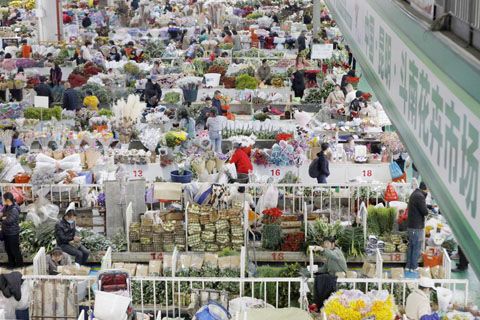 圖為斗南花卉市場一片繁忙。