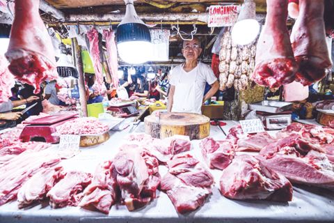 農業部長弗朗西斯科·張·劉禮週五在計順市龜卯的Mega